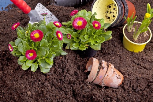 Professionals assessing a garden for clearance in Golders Green