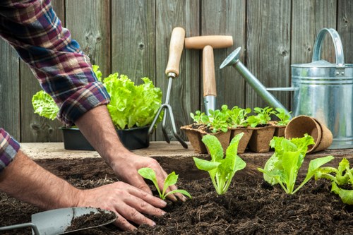 Sustainable landscaping practices in Golders Green