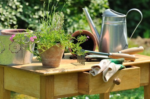 Common lawn mowing mistakes to avoid