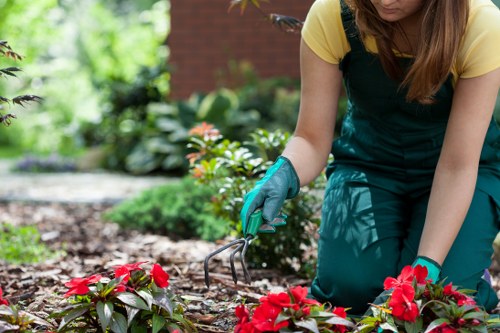 Eco-friendly disposal of garden waste in Golders Green