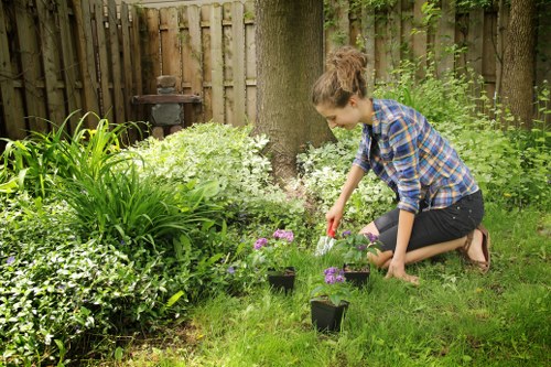 Professional landscape design elements