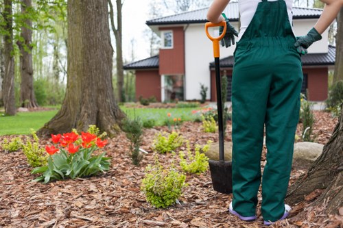 Professional lawn care service in Golders Green