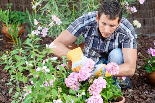 Variety of essential gardening tools arranged neatly