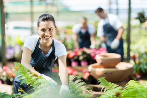 Vibrant plant selection for Golders Green gardens