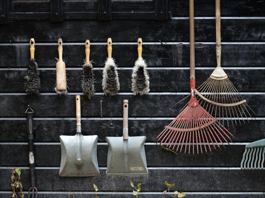 A collection of gardening tools hanging on a dark wooden fence, including five wire brushes with wooden handles, two small shovels with metal blades and wooden handles, a small gardening rake with a w