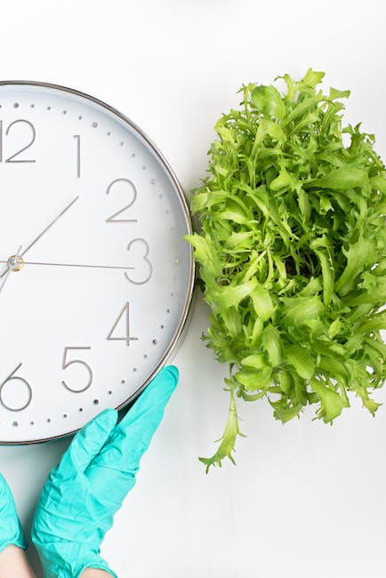 A close-up of a white wall clock with black numerals and black minute and hour hands, showing the time as approximately 1:03. To the right of the clock, there is a fresh, green leafy lettuce plant wit